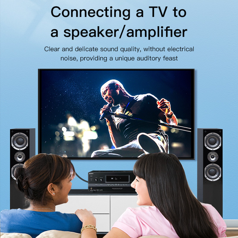 CHOSEAL RCA-kabel Digitale coa - Home Cinema Ampli recensie en prijs